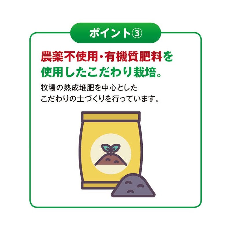 インシップ 国産青汁粒 315mg×240粒 30日分