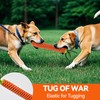 AUSCAT 2PCS Carrot Dog Rope Toy, Durable Braided Teething Toys,