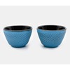 Zen Minded Traditional Japanese Cast Iron Tea & Coffee Cup