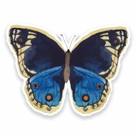 2 x 10cm Painted Butterfly Vinyl Stickers Laptop Helmet Car Girls Fun #9627 (10cm Wide x 7.5cm High)