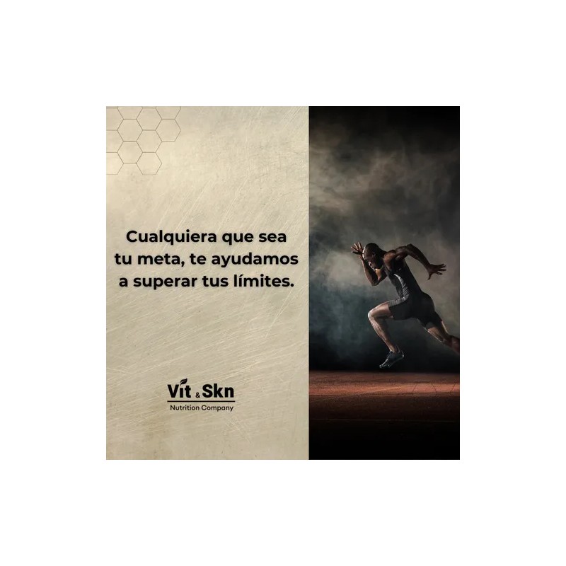 Acido Alfa Lipoico (ALA) 60 Cápsulas Skin Vit Súper Premium