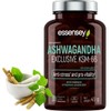 ESSENSEY - Ashwagandha I 200 mg I 90 Capsules I