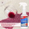 Stain-eez Carpet Cleaner Spray from Clean-eez! Our New Stain Remover