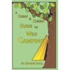A Cheap and Cheeky Guide to Wild Camping