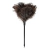 Natural Ostrich Feather Duster 14.9 Inch Fluffy Mini Dusters with