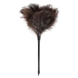 Natural Ostrich Feather Duster 14.9 Inch Fluffy Mini Dusters with Plastic Handheld for Cleaning Car Keyboard OfficeColor: Natural-c-2pcs