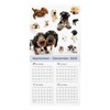 THE DOG 2026 Wall Calendar Large Size (All Star)