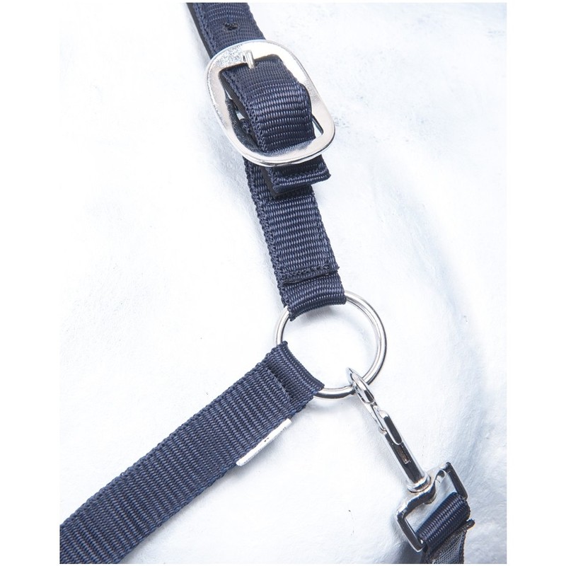 HKM by Reiterladen24 Basic Line Headcollar Lined Dark Blue Shetty
