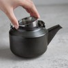 KINTO LT 21232 Teapot 21232 20.2 fl oz (600 ml),