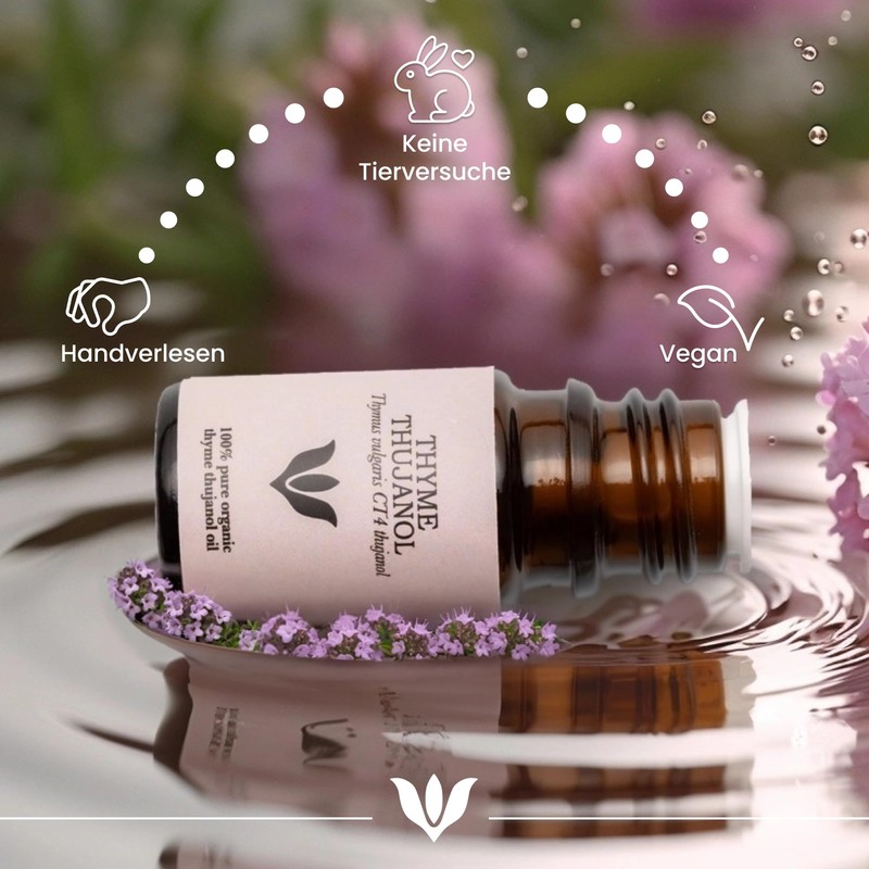 SANICULA Thyme Oil - 100% Pure Thyme Thujanol Essential Oil,