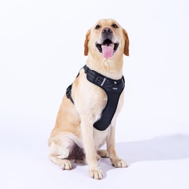PAGGY OOKI Breathable mesh Dog Harness No Pull and Leash Set Adjustable Pet Harness with Soft Padded Vertical Handle for Lifting Reflective No-Choke Dog Vest 2 Leash Hooks Escape Proof (Black, L)