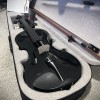 Unbranded 4/4 Full Size Black Violin with Case, Bow and