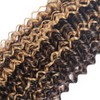 P4/27 Human Hair Bundles Highlight Kinky Curly Bundles 22 24