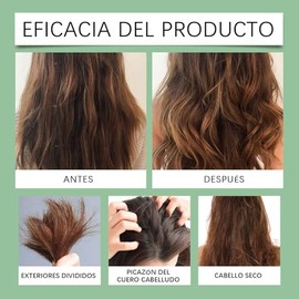 2PCS Batana Oil Shampoo 300ML, Batana Shampoo with Rosemary Extract, Champú Batana con Extracto de Romero para Nutrir el Cabello, Adecuado Tanto para 