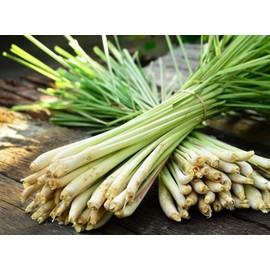 RAISE ME UP: Seeds Lemongrass Cymbopogon Non GMO Heirloom Herb, Clear