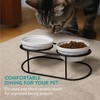 Navaris Ceramic Bowls with Black Metal Stand - 2 Raised