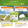 Choice Whey & Collagen Plus Protein, Matcha Flavor, 21.3 oz