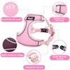 Eyein Small Dog Harness and Lead Set - Soft Mesh