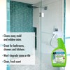 DuPont Mold & Mildew Stain Remover for Natural Stone