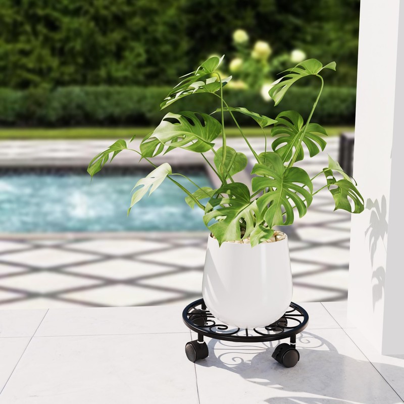 Chinpakden 10.24" Plant Stand with Wheels - 1 Pack Plant
