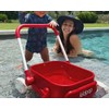 Kidpop PULA 2-in-1 Push and Pull-Along Wagon, Baby Push Walker