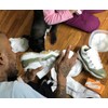 Scuffed Up Shoe Cleaner, Gentle Cleaning Sponges for Shoes Sneakers