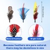 Breathffy 24 Pcs Hat Bands Decorative Feathers for Cowboy Panama