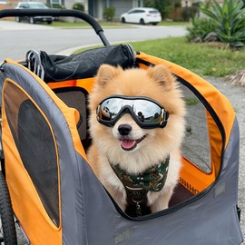Enjoying Dog Sunglasses for Small Dogs, UV Protection Pet Goggles for Small Dog Breeds, Windproof Dust-Proof, Little Dog Eye Protection for Outside Cycling Driving, Adjustable Straps, Black