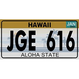 OPO 10 - USA car Registration Plate Hawaii - Metal Replica 12×6in Standard Size (ref 8231)