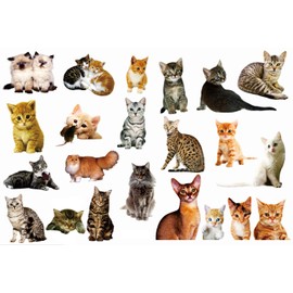 22PCS Removable 3D Cartoon Animal Cats PVC Wall Stickers Easy to Peel and Stick Cute Cat Wallpaper Murals for Kids Wall Decals Living Room Baby Rooms(Blown-22Cats)