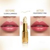Barvena Balsamo Labial Humectante 24h PH Hidratante Con Color