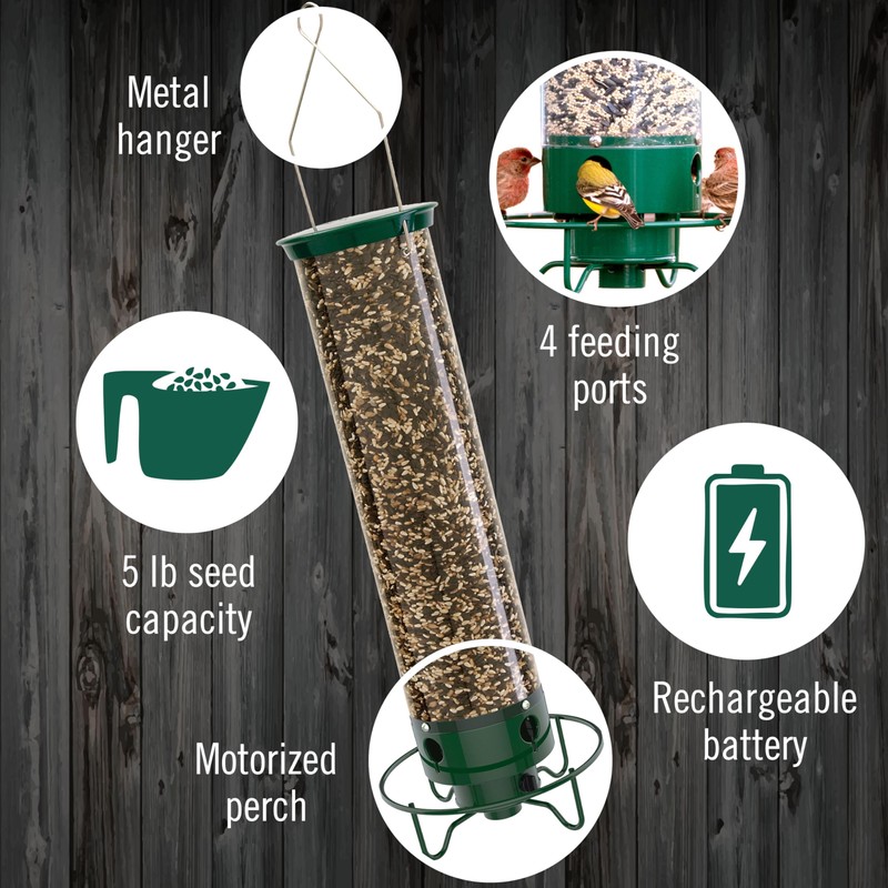 Droll Yankees Squirrel Proof Bird Feeders for Outdoors - YF-M