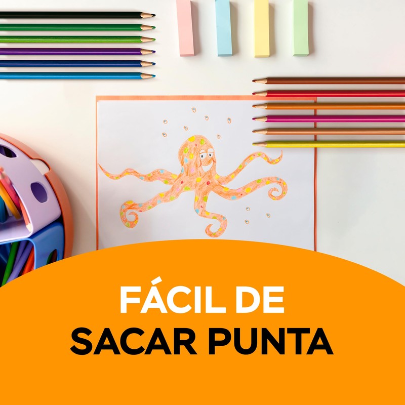 BIC Lápices de Colores Evolution Triangular Hecho de Resina No