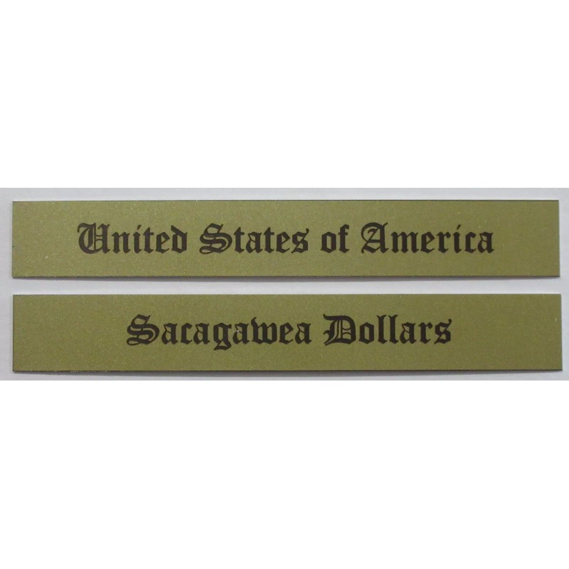 GOLDEN SACAGAWEA DOLLAR COINS (NOT INCLUDED) WALL DISPLAY PICTURE FRAME