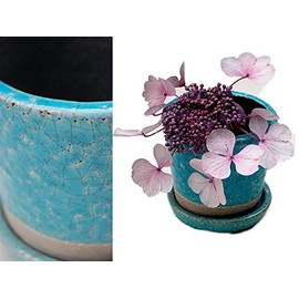 [DULTON] Dalton Color Grazed Pot Small Terracotta Pottery Vase CH15 – G527 Turquoise