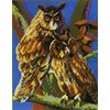 stickit Mini Plug-In System Owls Approx. 10,000 Pieces No. 41245