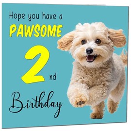 2nd Birthday Card for Men Women Dog Pawsome Birthday Card for 2 Year old Girl Kids Daughter two, second Granddaughter Sister Niece cousin