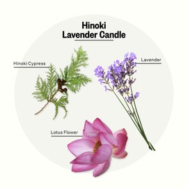 Apotheke Candles (Hinoki Lavender, Signature Candle)