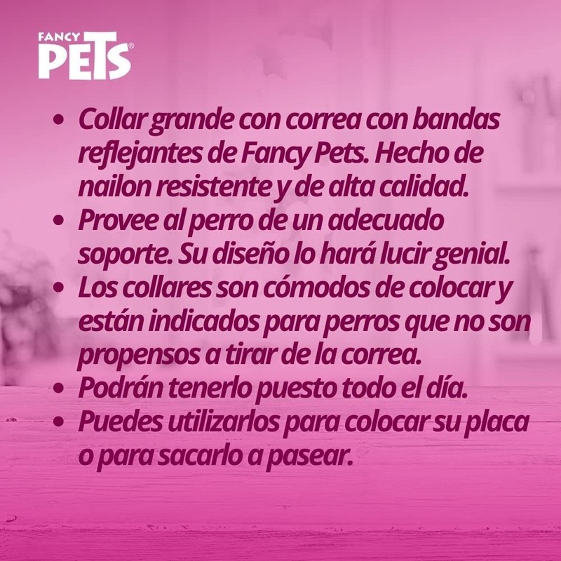 Fancy Pets Correa con Collar de Nylon para Perro con