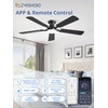 ZMISHIBO 52 Inch Ceiling Fan with Light, App&Remote Control, Flush