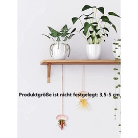 LATRAT Pack of 5 Natural Sea Urchin Shells, Nautical Decoration for Micro Landscape Decoration, DIY Crafts, Craft Projects