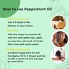 GM Gumili Peppermint Essential Oil - 100% Pure Aromatherapy Oil