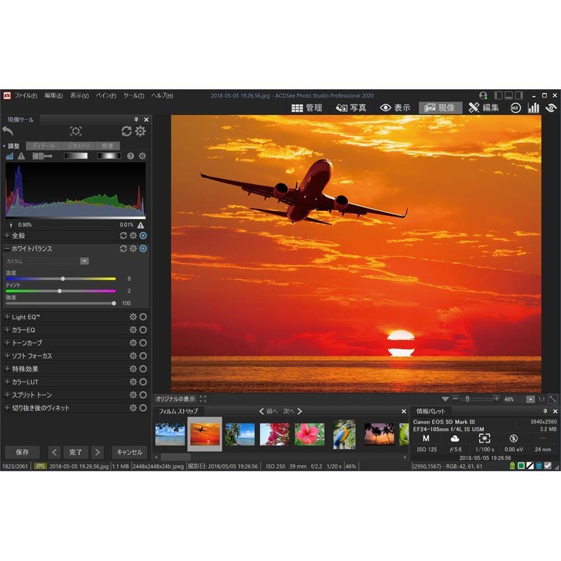 ジャングル ACDSee Photo Studio Professional 2020