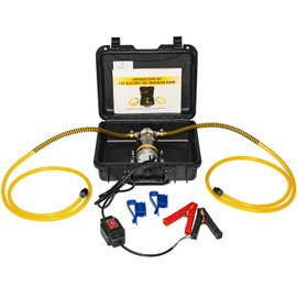 Bomba extractora de aceite eléctrica de 12/24 V 100 W, bomba de cambio de aceite de alto flujo con manguera antitorcedura, bomba de transferencia de fluido de transmisión para automoción