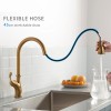 FLG Single Hole Hot Cold Water Mixer Sink Pull Out