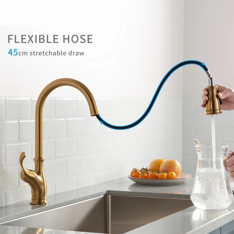 FLG Single Hole Hot Cold Water Mixer Sink Pull Out