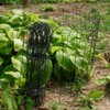 14 inch(H) x 20 feet(L) Green Garden Border Edging Folding