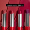 ésika - Labial Colorfix 24H de Larga Duración 2g -
