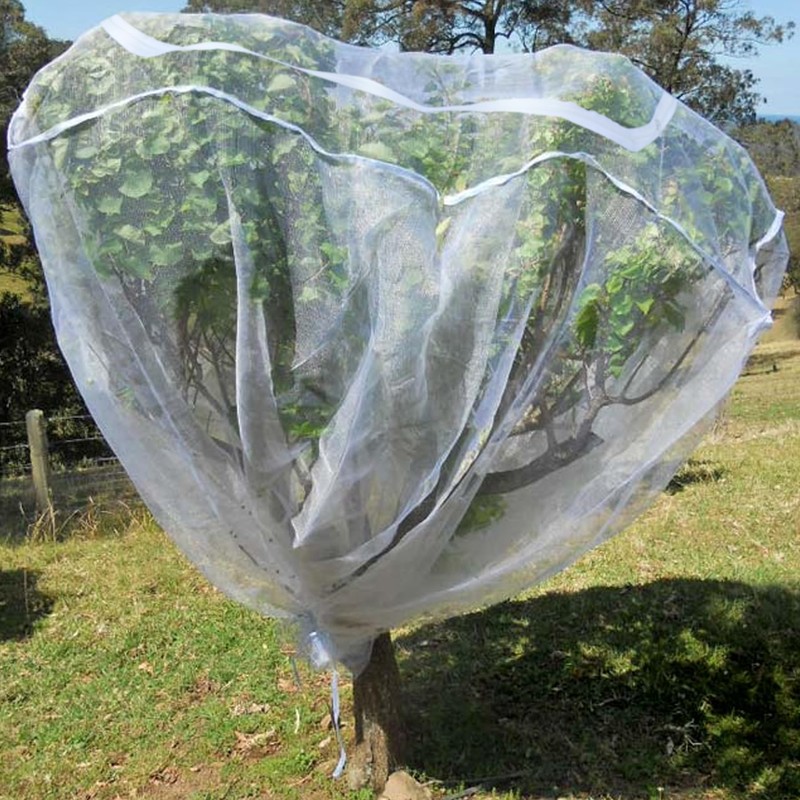 Zippered Caterpillar Sleeve, Milkweed Plant Netting, Garden Netting Plant Covers