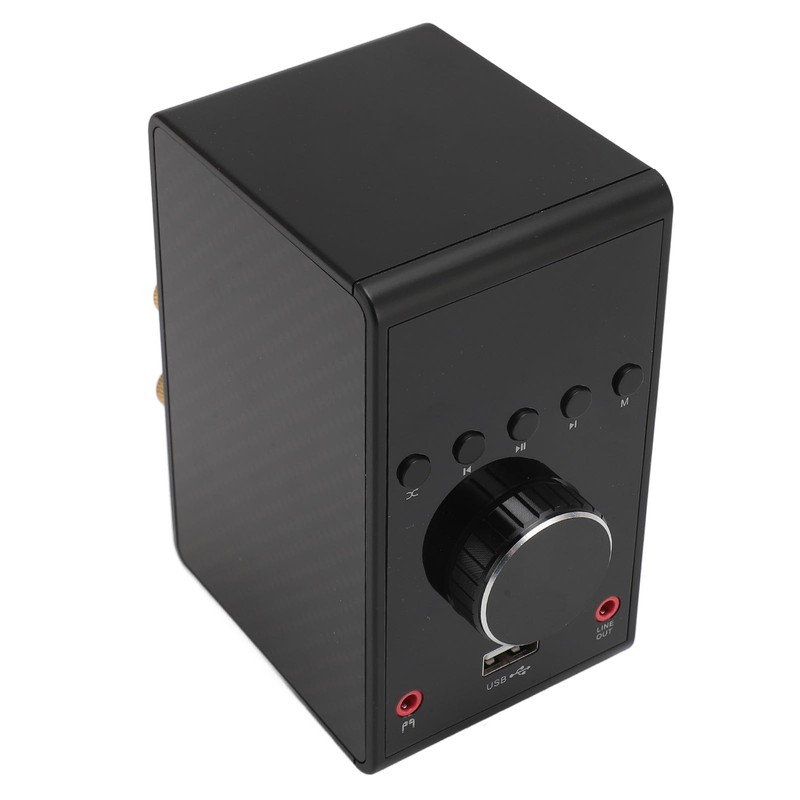 200W Dual Channel Stereo Amplifier Audio Receiver System with USB